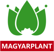 Компания MAGYARPLANT
